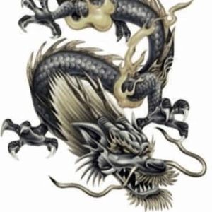 Meet your Posher, Warren